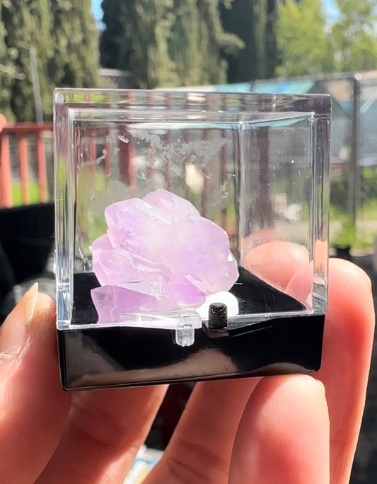 Amethyst Cluster Specimen 7g