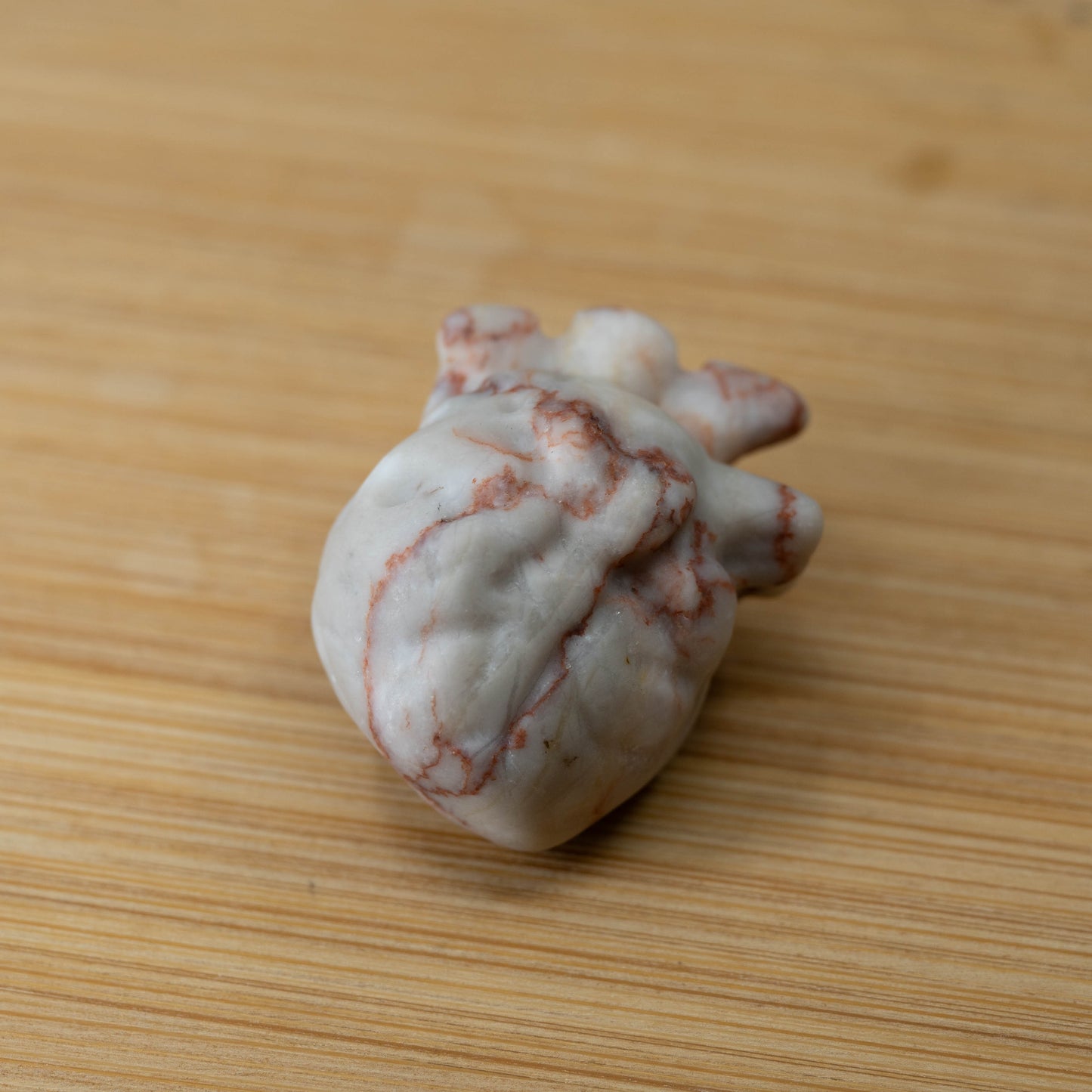 Mini Anatomical Hearts