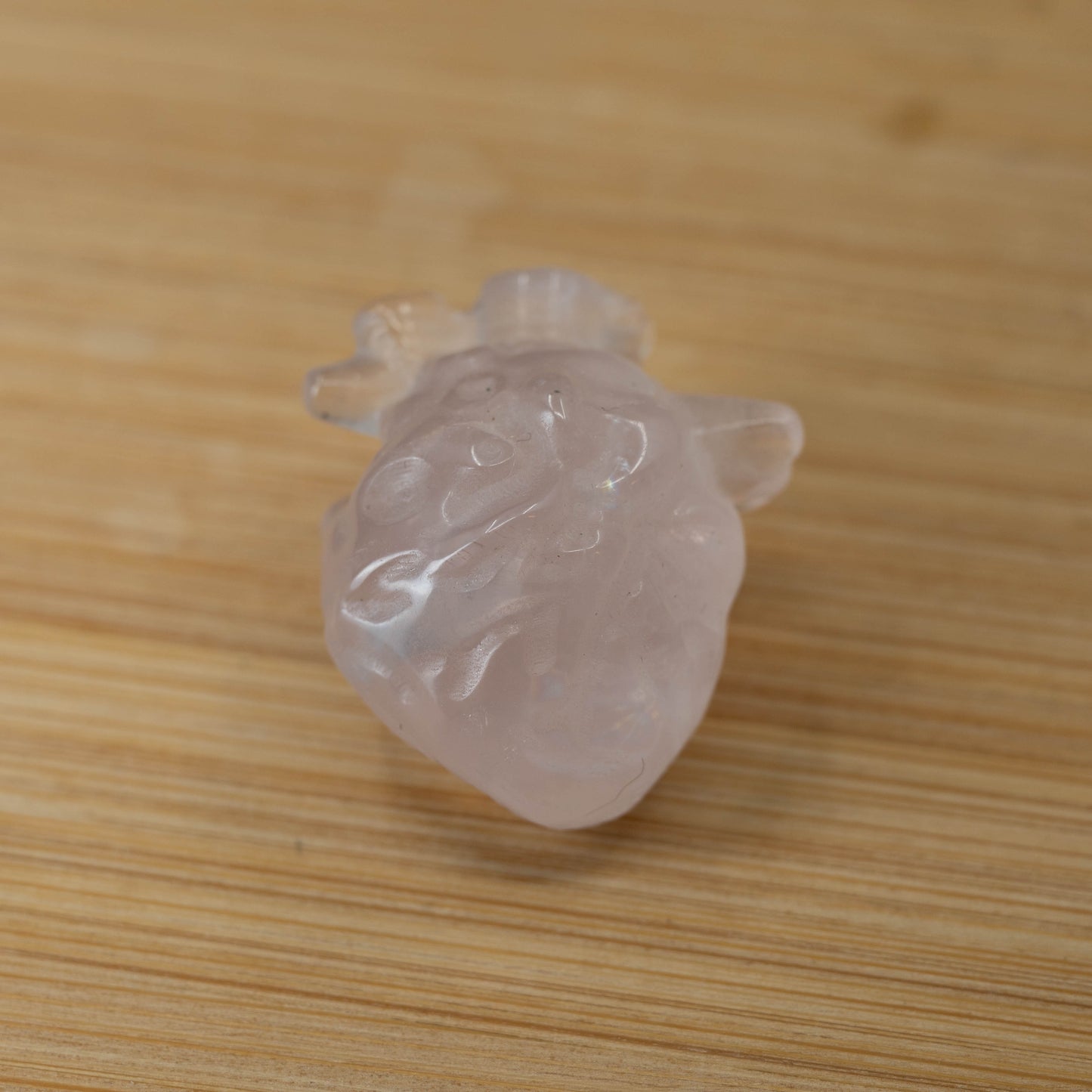 Mini Anatomical Hearts